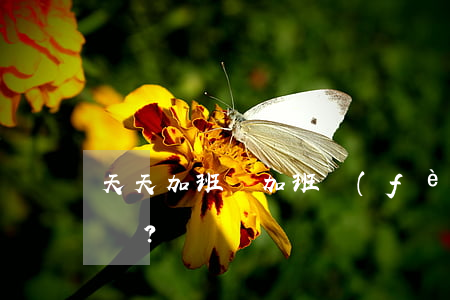 天天加班，沒加班費(fèi)是否要辭？